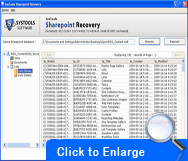 screenshots of SharePoint restore Tool